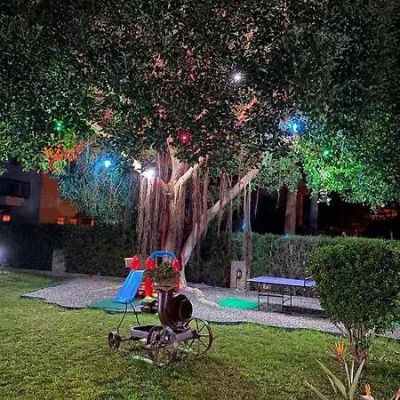 Steelhouse * Dalyan